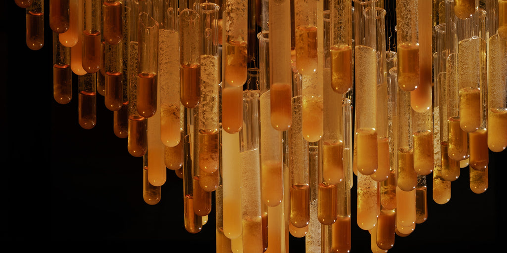 modern-glass-art-installation-HIVE- by-Maximilian-pruefer-and-kaia